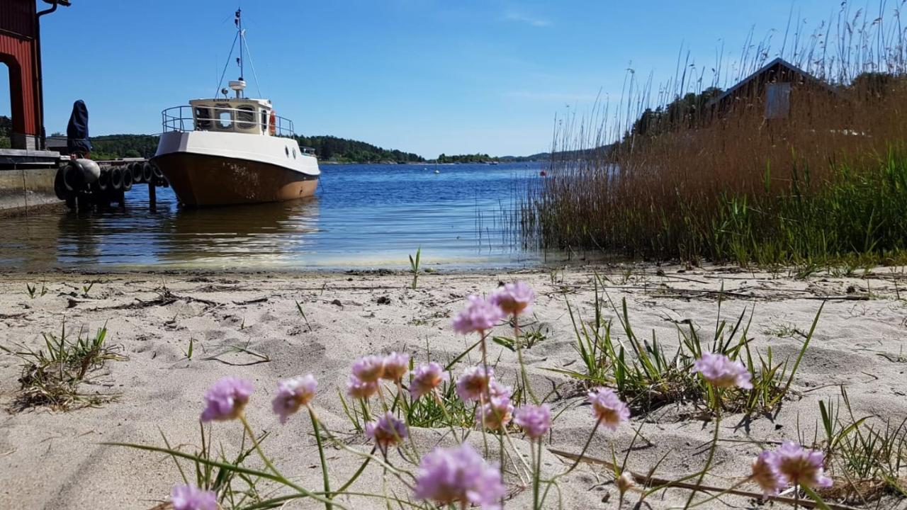 In Love With Norway Larvik Exterior photo